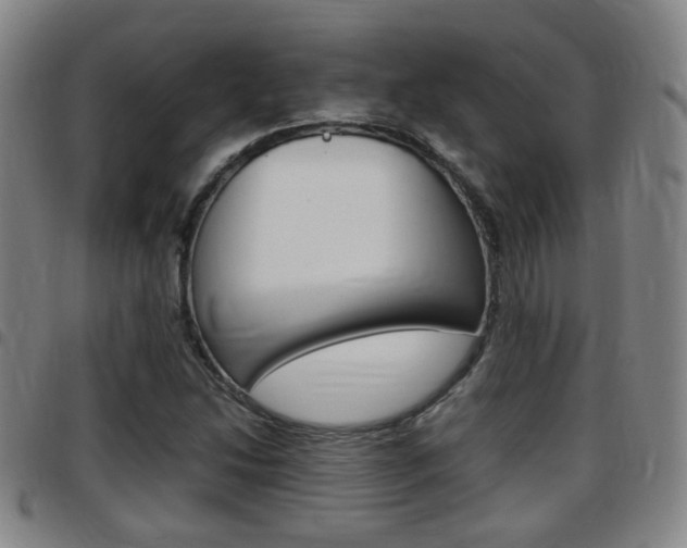 X0000097881214200803140934