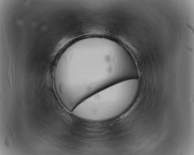 X0000097881215200803140934