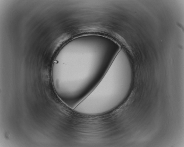 X0000097881218200803140934