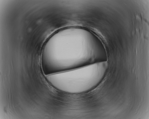 X0000097881220200803140934
