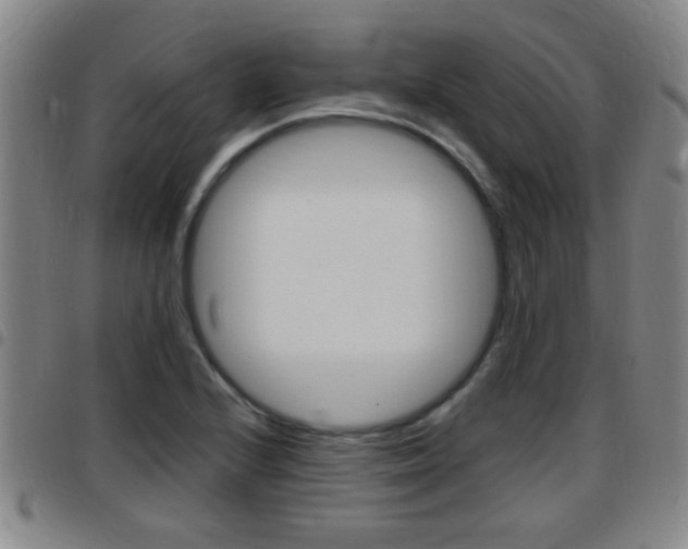 X0000097881224200803140934