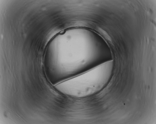 X0000097881226200803140934