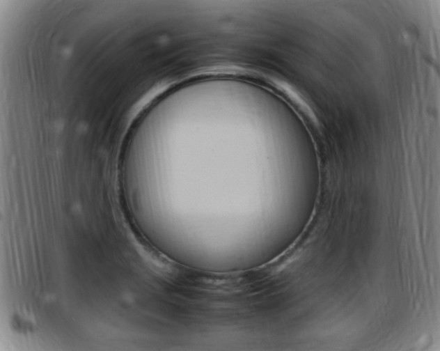 X0000097881229200803140935