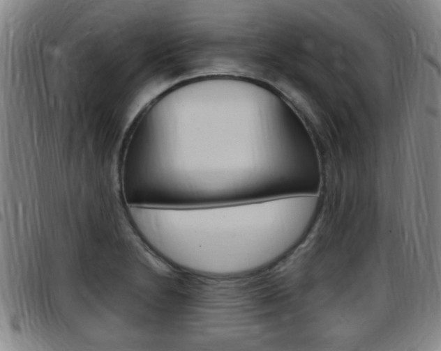 X0000097881230200803140935