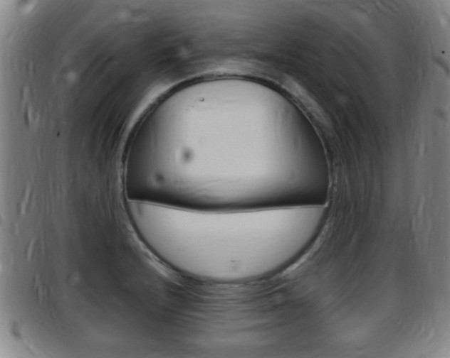 X0000097881232200803140935