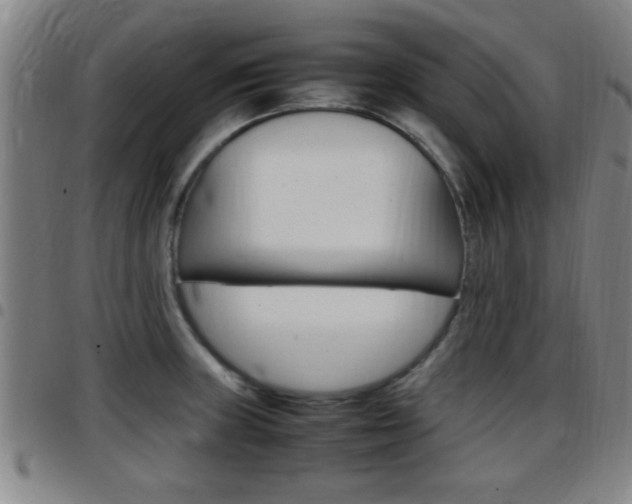 X0000097881235200803140935