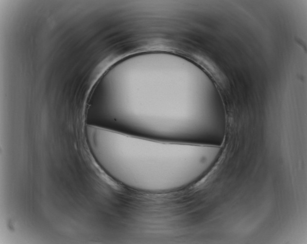 X0000097881236200803140935