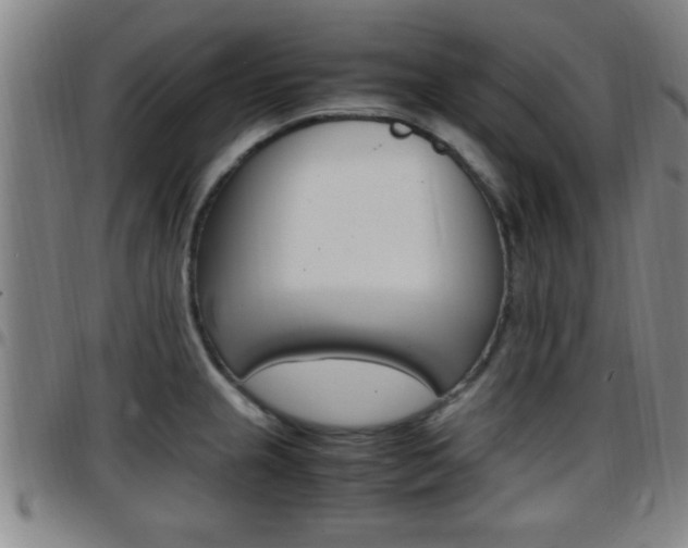 X0000097881237200803140935