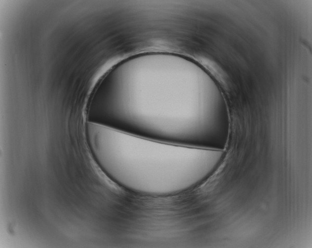 X0000097881238200803140935