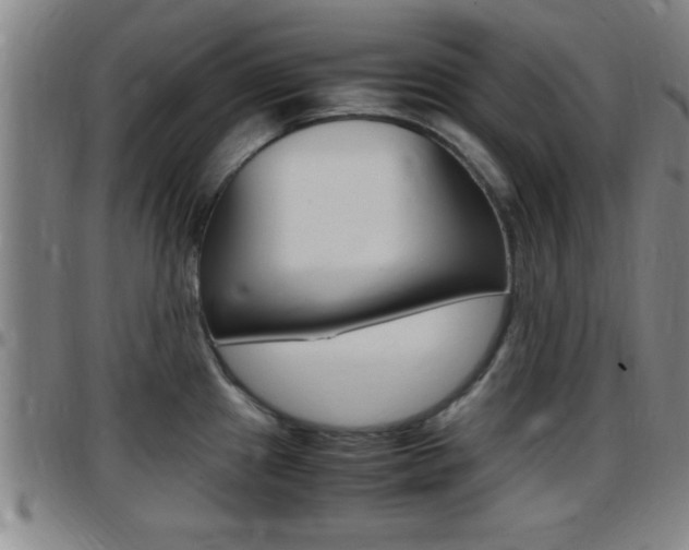 X0000097881241200803140935