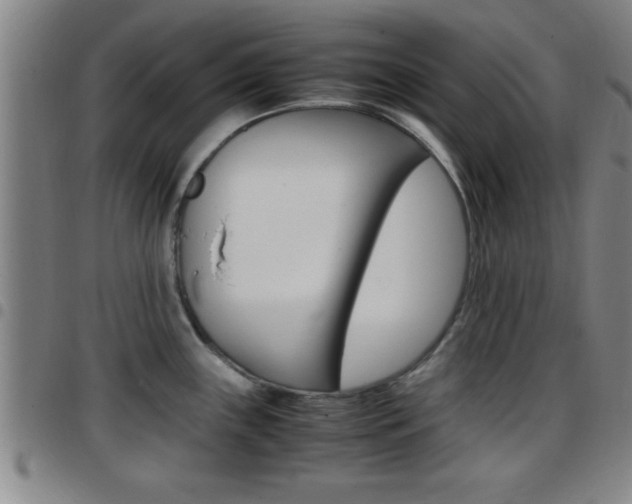 X0000097881243200803140935