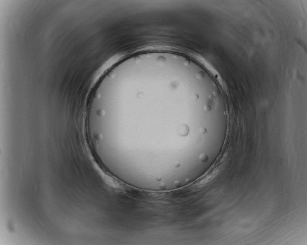 X0000097881245200803140935