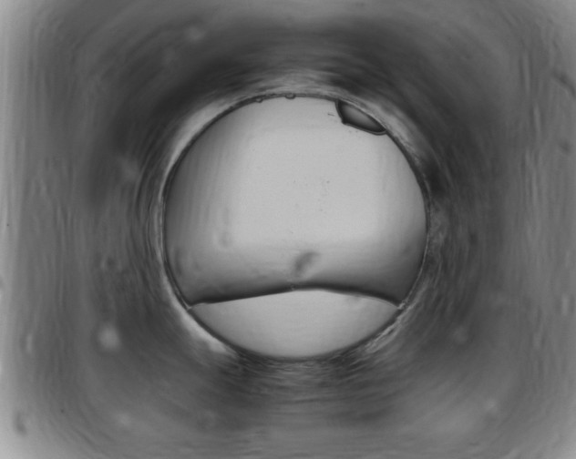 X0000097881247200803140935