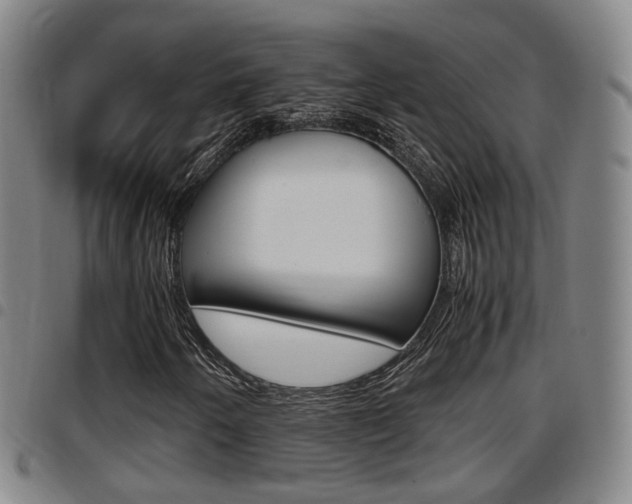 X0000097881250200803140934