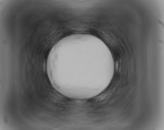 X0000097881251200803140934