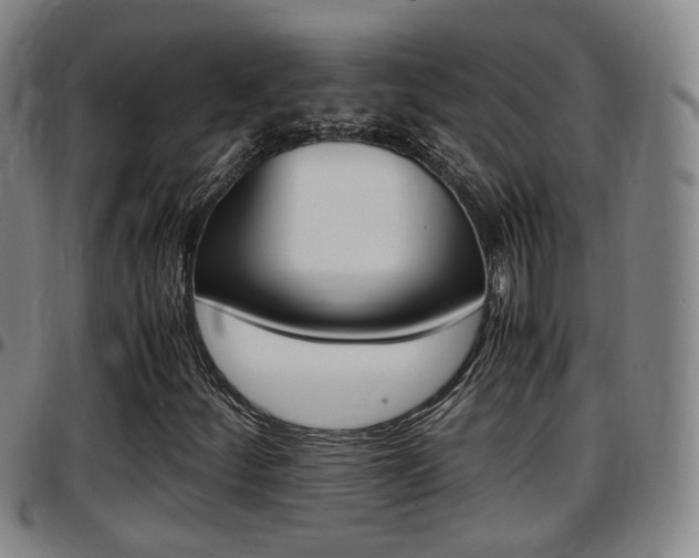 X0000097881252200803140934