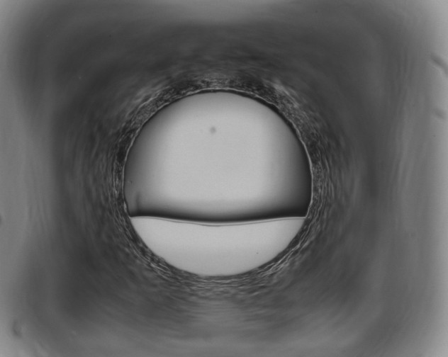 X0000097881253200803140934