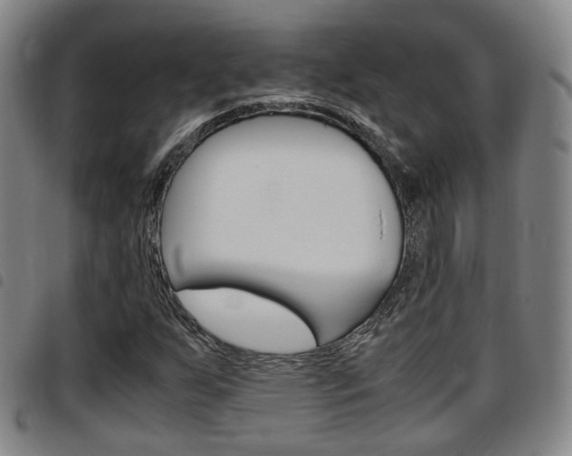 X0000097881255200803140934