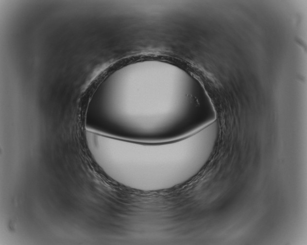 X0000097881256200803140934