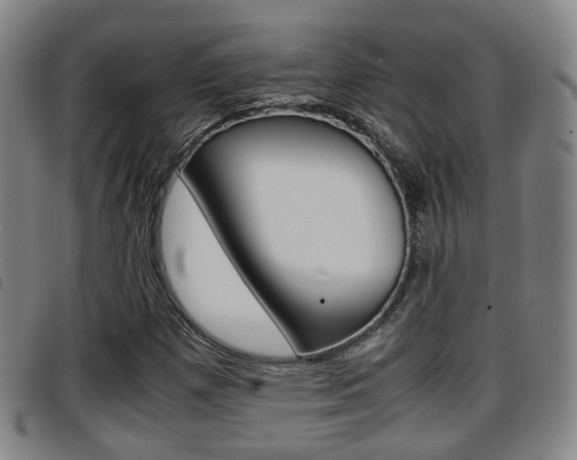 X0000097881257200803140934