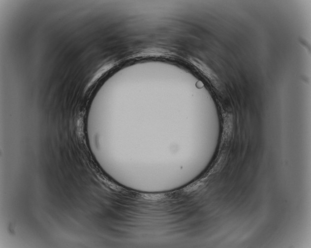 X0000097881258200803140934