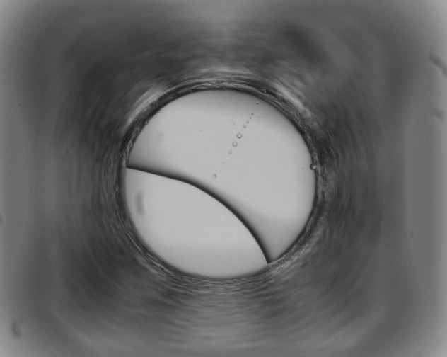 X0000097881259200803140934