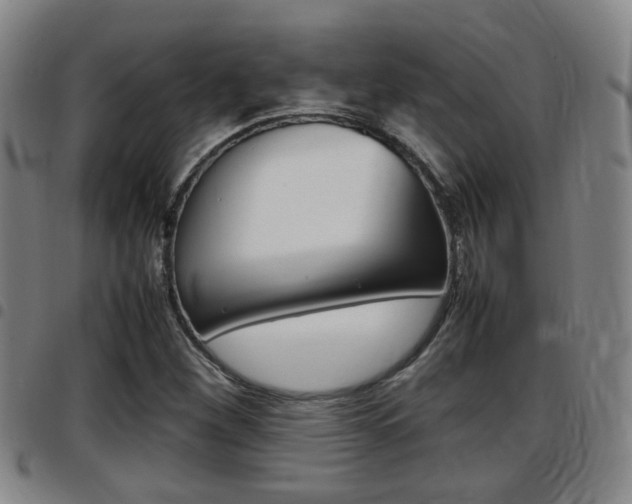 X0000097881260200803140934
