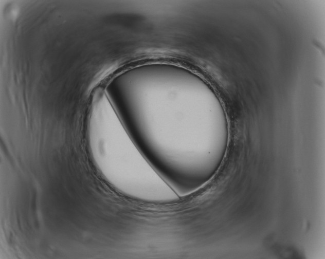 X0000097881261200803140934