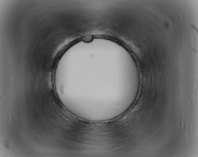 X0000097881262200803140934