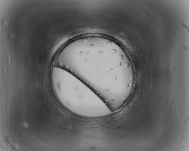X0000097881263200803140934