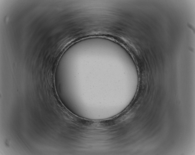 X0000097881265200803140934