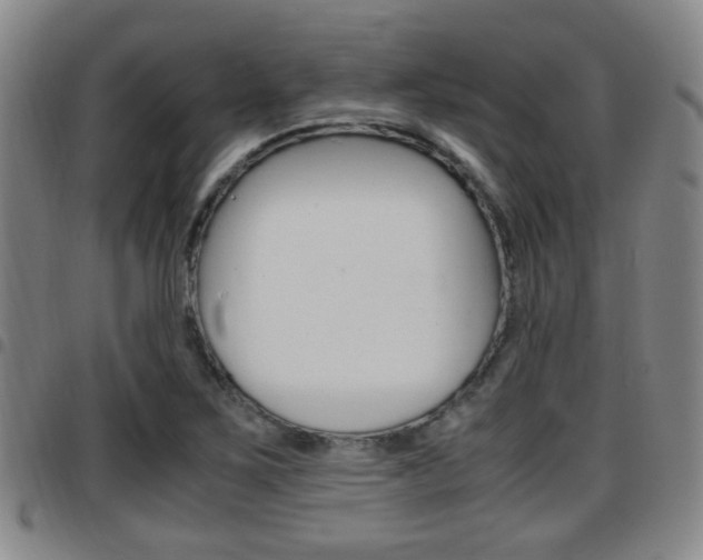 X0000097881267200803140934