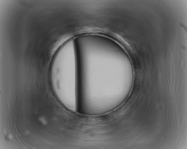 X0000097881269200803140934