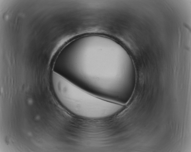 X0000097881270200803140934