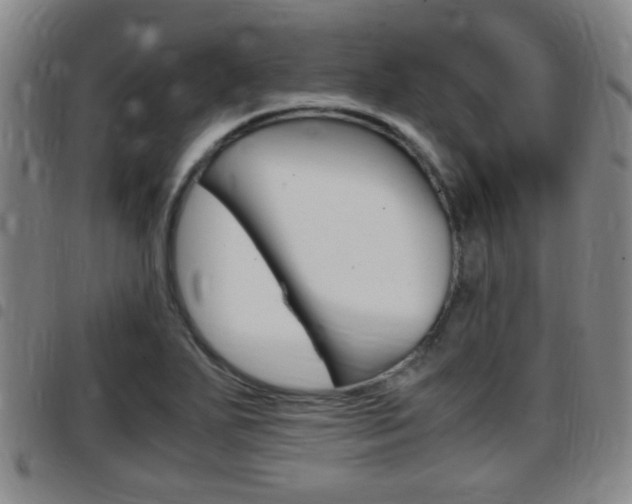 X0000097881271200803140934