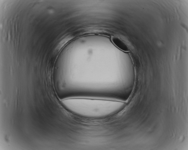 X0000097881273200803140934