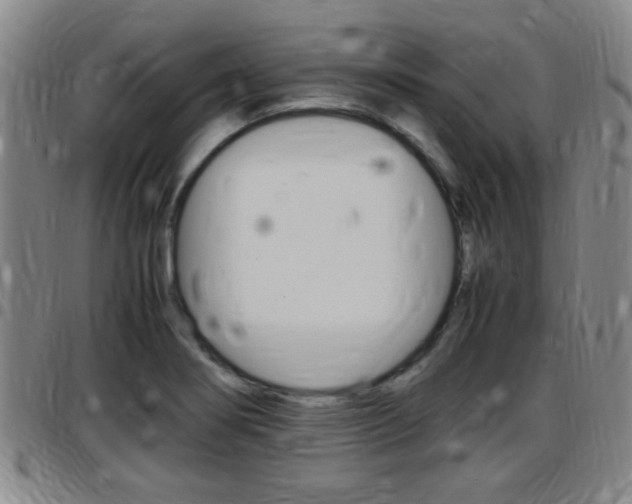 X0000097881274200803140934