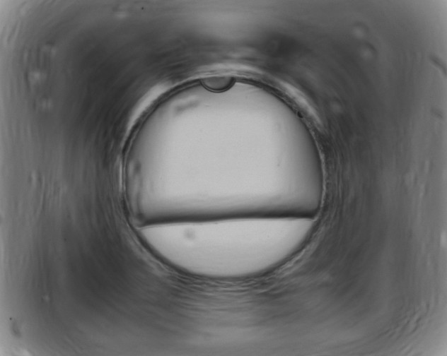 X0000097881275200803140934