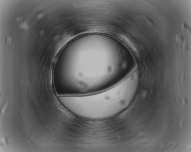 X0000097881276200803140934