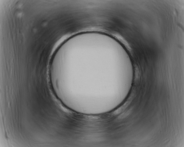 X0000097881278200803140934