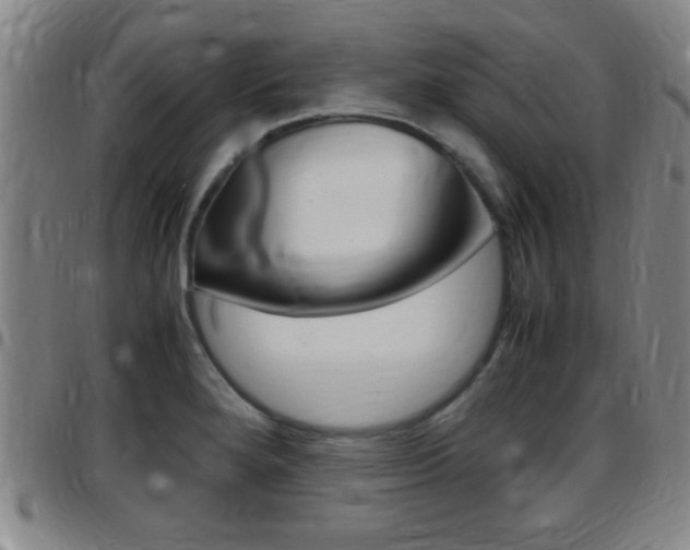 X0000097881280200803140934