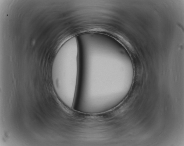 X0000097881281200803140934