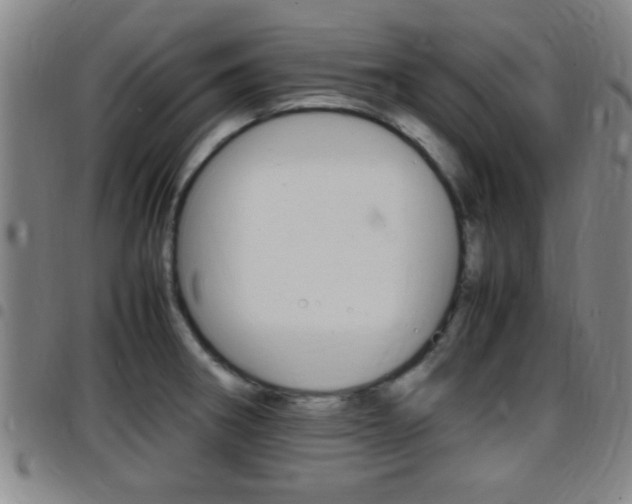 X0000097881282200803140934
