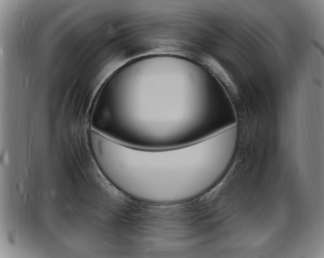 X0000097881284200803140934