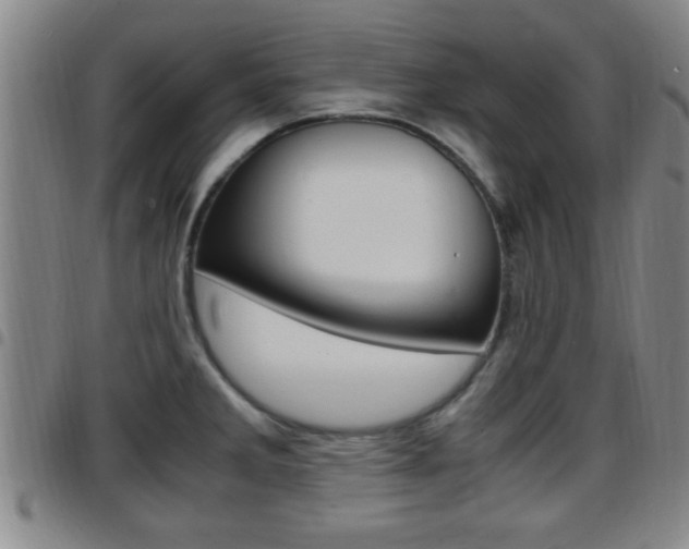 X0000097881285200803140934