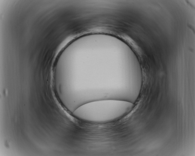 X0000097881286200803140934