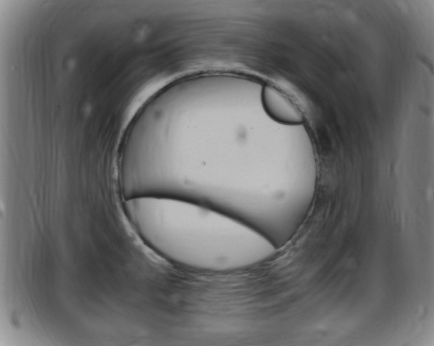 X0000097881287200803140934
