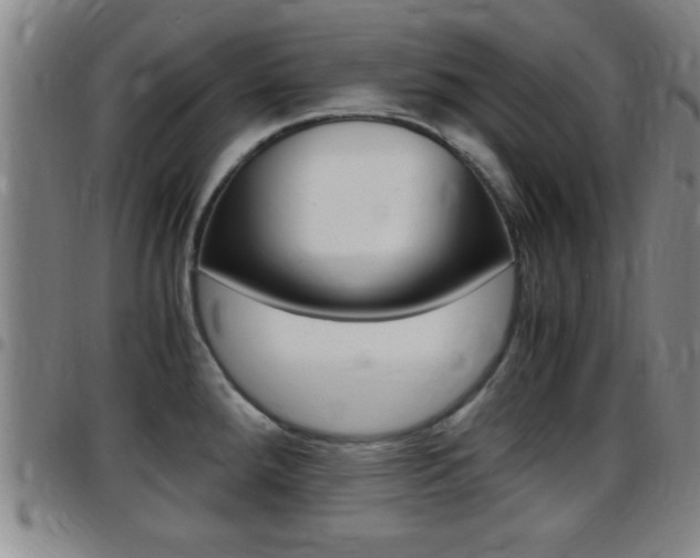 X0000097881288200803140934
