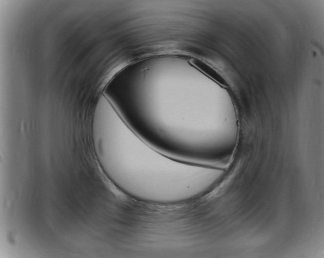 X0000097881289200803140934