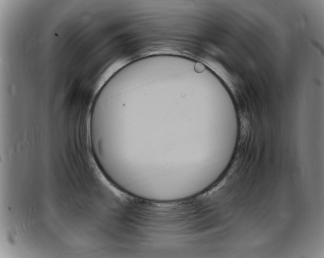 X0000097881290200803140934
